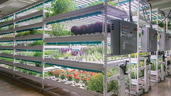 Farm.One Opens Brooklyn Vertical Farm